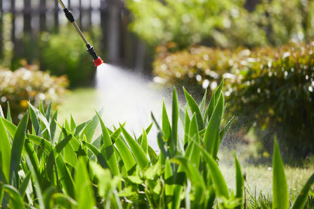 24/7 Emergency Mosquito Control experts in Yonkers, NY